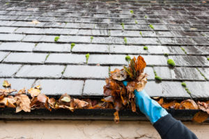 gloved hand cleaning leaf matter out of a roof's gutter