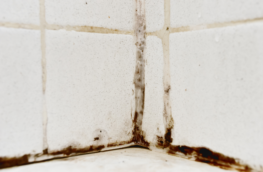 a close up of filthy and discolored grout and tiles